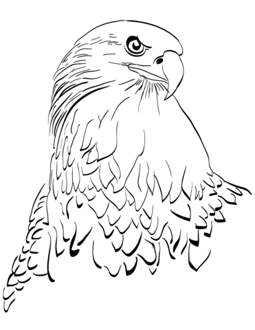 Eagle Head Coloring Page